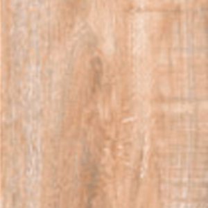 FOREST CARAMEL (917) 25X120 PRIMERA (CJA 1.50)